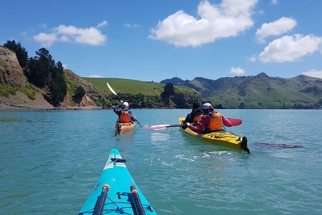 Private Sea Kayaking Tour from Christchurch/Lyttleton - Photo 1 of 6